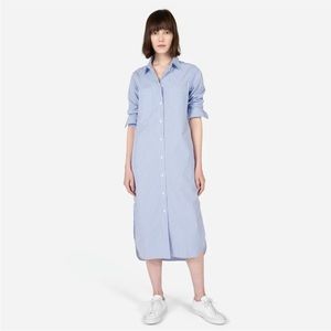 Everlane Cotton Stripe Poplin Dress